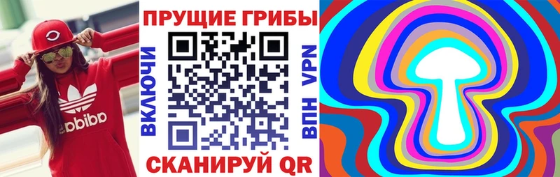 Псилоцибиновые грибы Magic Shrooms  Купить  Прокопьевск 